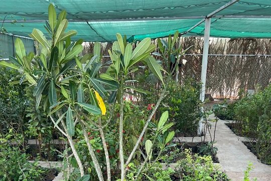 Tour image 11